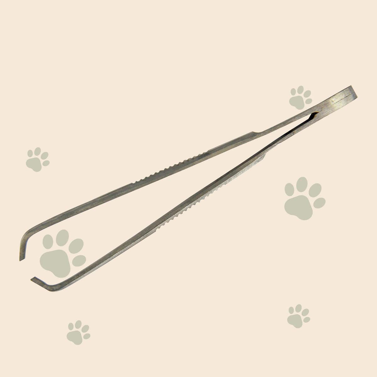 Zeckenpinzette 9 cm aus rostfreiem Stahl