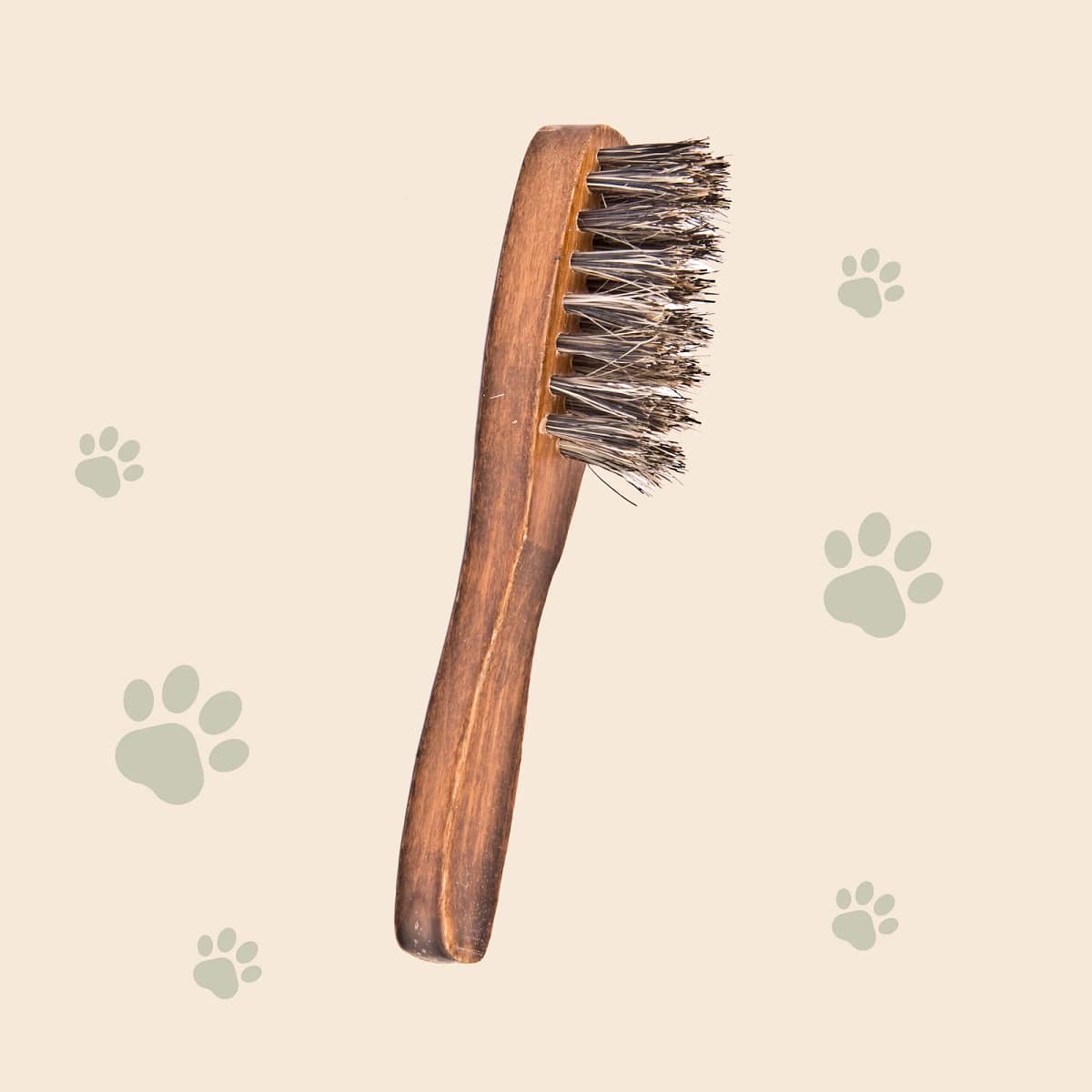 Pferdestriegel Coat King, grobe Ausführung